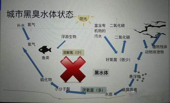 江蘇億元投資治污新技術(shù) 石墨烯能否治理黑臭水體？