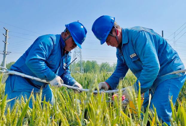 安徽利辛供電:加速“引江濟淮”工程配套電力線路建設(shè)