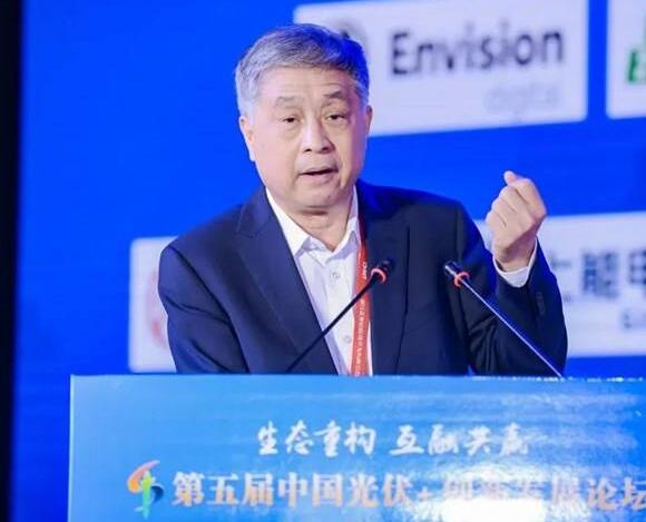 王勃華:我國光伏行業(yè)發(fā)展已形成“雙循環(huán)”格局