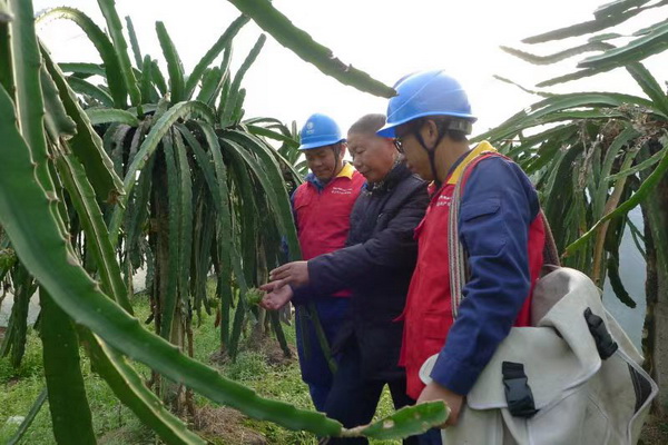 國網(wǎng)寧?？h供電公司：“電力紅馬甲”護(hù)航，退役軍人鄉(xiāng)村創(chuàng)業(yè)“紅如火”