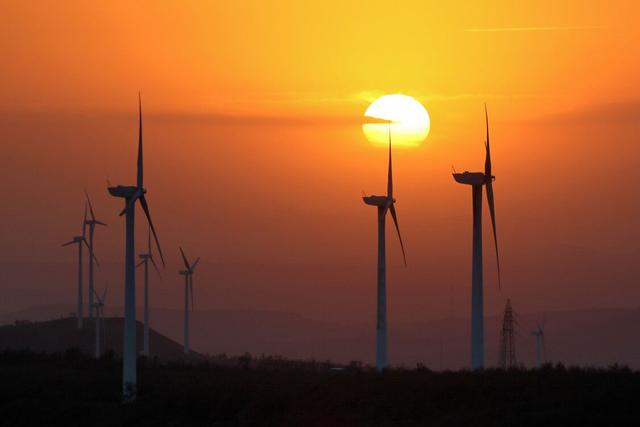 煙臺電網風電出力創(chuàng)歷史新高