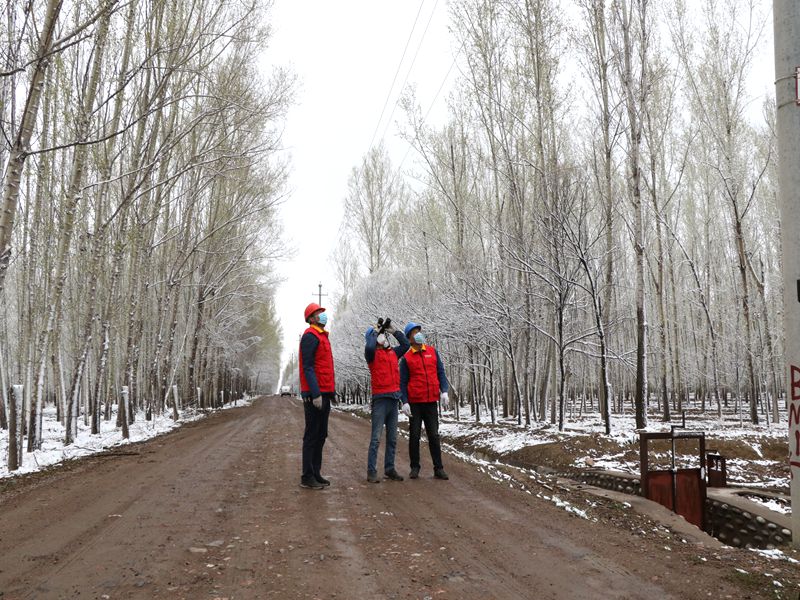 國網(wǎng)伊犁伊河供電公司四月飛雪，電力員工巡視線路保供電