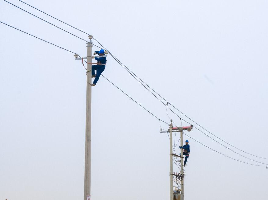 阿拉善供電公司：電網(wǎng)健康“體檢”，從登桿開始