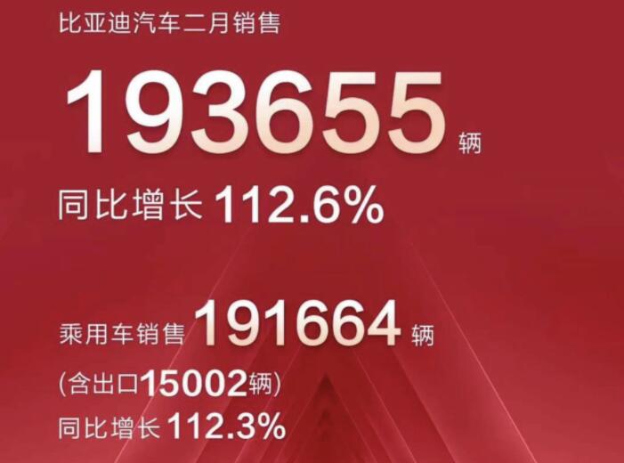 2月新能源車企成績(jī)單出爐，比亞迪一騎絕塵