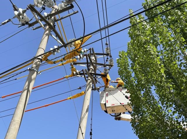 帶電作業(yè)除隱患，安全供電有保障