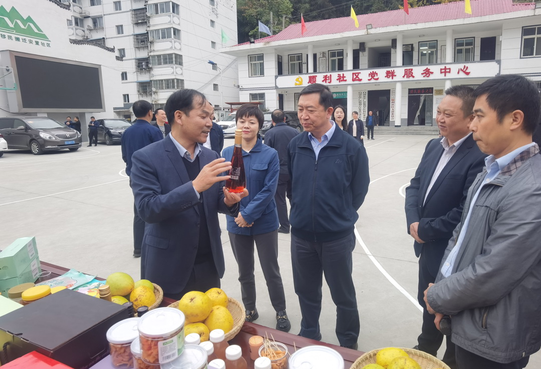 中核集團總經(jīng)理、黨組副書記顧軍赴陜西白河、旬陽調(diào)研鄉(xiāng)村振興工作