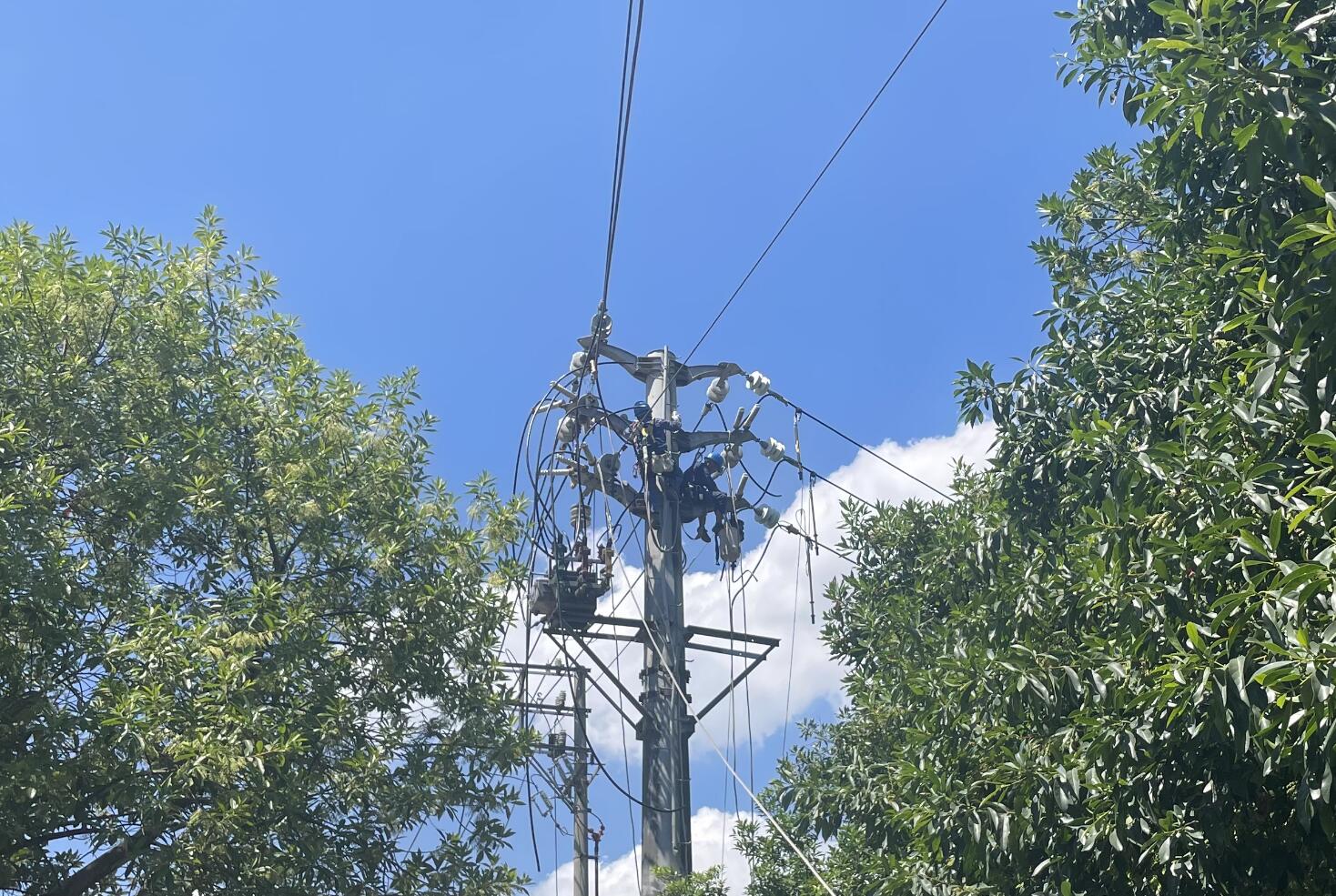 國網(wǎng)余姚市供電公司:線路升級改造迎戰(zhàn)夏季“烤”驗(yàn)