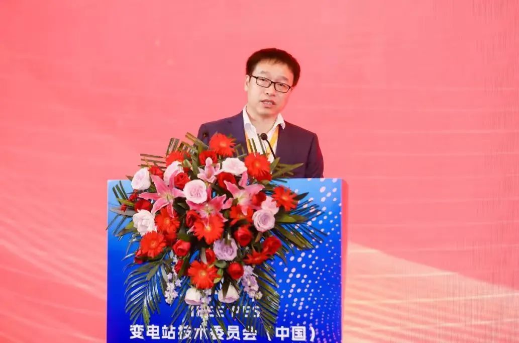 中國電氣裝備代表當(dāng)選國際電工委員會(IEC )TC