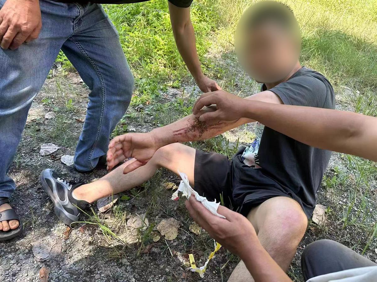男子私設(shè)電網(wǎng)30余米，沒捕獲獵物卻電傷路人被刑拘