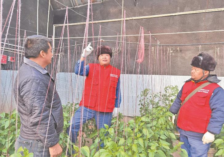 青海循化撒拉族自治縣大棚變智能，果蔬產量增