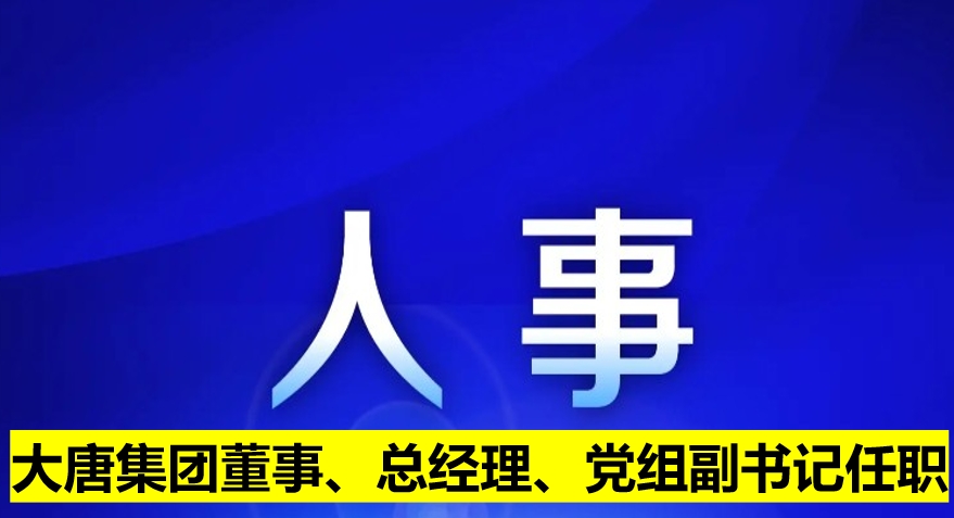 大唐集團(tuán)董事、總經(jīng)理、黨組副書記任職