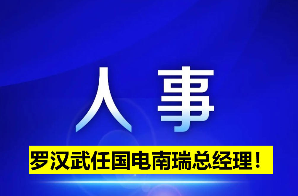 羅漢武任國電南瑞總經(jīng)理！